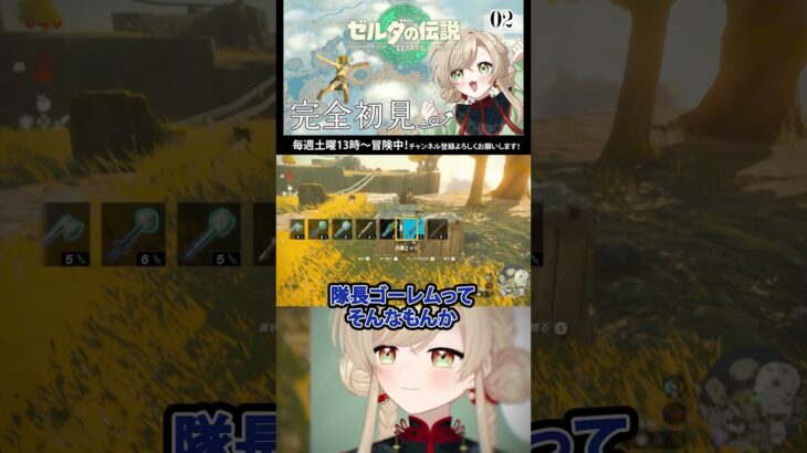 【完全初見】ライクライクに返り討ち/ゾナウギアガチャではしゃぐ勇者【#ゼルダの伝説ティアーズオブザキングダム 】