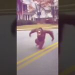 チンパンが煽り運転した結果……#車