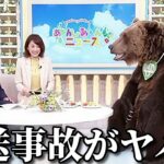 【神回】AIが作った面白動画がツッコミどころ満載だったｗｗｗ⑤【テレビ放送事故】【ワンピース】【鬼滅の刃】【呪術廻戦】【ドラゴンボール】【映画】【AIおばあちゃん】【アニメ】