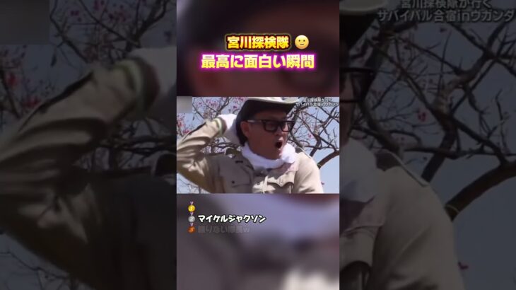 【宮川探検隊　最高に面白い瞬間】 #最高のシーン #面白い動画 #面白い #面白集 #おもしろ #shorts #宮川探検隊