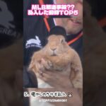 MLB放送事故！？乱入した動物TOP5