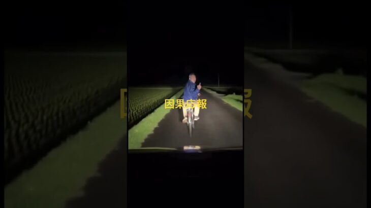 煽り運転、妨害自転車、自ら田んぼに落ちる/逆煽り運転