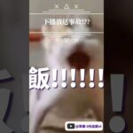 「放送事故」蝶主播下播後做的第一件事居然是…！？#0元出道vtuber #個人勢vtuber #vtuber