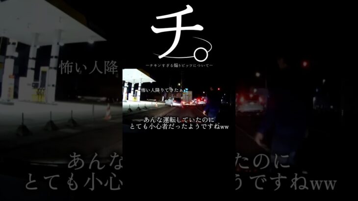 【ドラレコ】チ。チキンすぎる煽りビッツについて#ドラレコ #dqn #あおり運転 #shorts